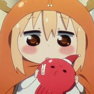 小炸毛的胖胖包