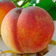 Персик.2
