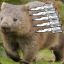 Combat Wombat