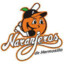 Naranjeros de Hermosillo