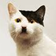 Stardenburdenhardenbart