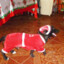 MUERTO LUJAN CARRION