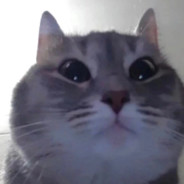 河口捡垃圾大王