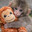 Punch Monkey