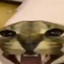 stop screaming