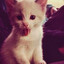 Solitare_prince