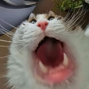 DuBoYDJ's avatar