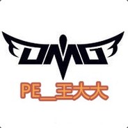 PE__王大大