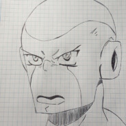 Nieskalany13(-1300)skins.army