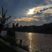 5把野牛冲中路，干拉！