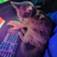 CatCharacter