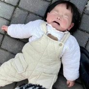 翻斗花园张奶奶