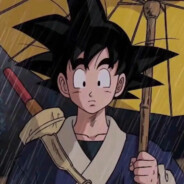 下级战士-卡卡罗特