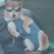 队友视力检测员