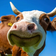 咕噜咕噜的说什么呢