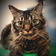 LyNx Steam avatar