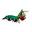 Mantis Shrimp