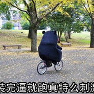 百无一用是深情