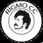 Rigmo CC