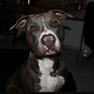 ༒𝕷𝖚𝖈𝖎𝖋𝖊𝖗