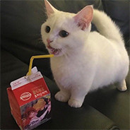 karolS - steam id 76561198344697728