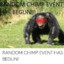Random chimp encounter