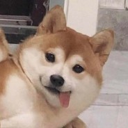 火辣小鼠在线爬山