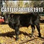 CattleFarmer1911