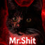 Mr. Shit