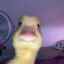 Duckyy