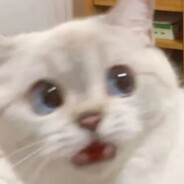 这么小声还想开军舰？