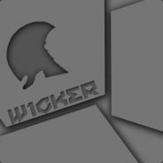 w1cker - steam id 76561197960279907