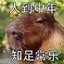 头尖尖的像诘谯龙