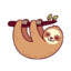 inquisitive sloth29