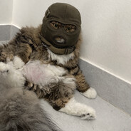 Rivv - steam id 76561198988570268