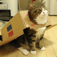 呖咕呖咕新年财