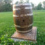 Barrel of Bees