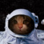 SpaceCat