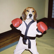 AAA水果批发郑哥