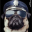 Capt Pug