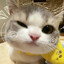 laylaليلى