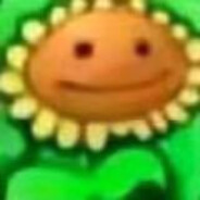 枪管子塞你窟窿里面