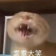 你是耄耋还是我是耄耋