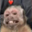 The Asura