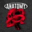 -AnatomY-