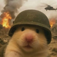 枪快却没你离开的快