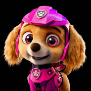 Brandmeister MCDoooooooonelds