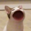 Neimyx