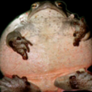 44a90d42098e610e7ccd35e7bfdb56740fde0820 full
