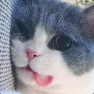 绘尽梨花染尽衣